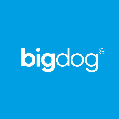 bigdog agency